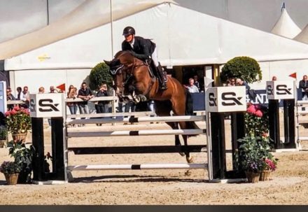 Mehr über den Artikel erfahren Spitzenbühne für uns und unsere Hengste