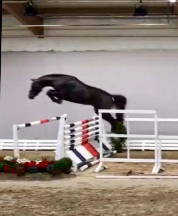 Mehr über den Artikel erfahren Super Körlot bei OS