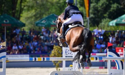 Mehr über den Artikel erfahren 8 von 9 – Gute Ausbeute