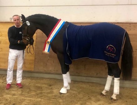 Mehr über den Artikel erfahren Sieger, Reservesieger und ein Prämierter