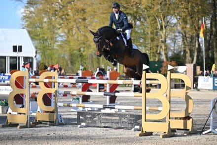 Mehr über den Artikel erfahren Erfolgreicher Saisonstart für Dia Corrado und Chacco’s Son II