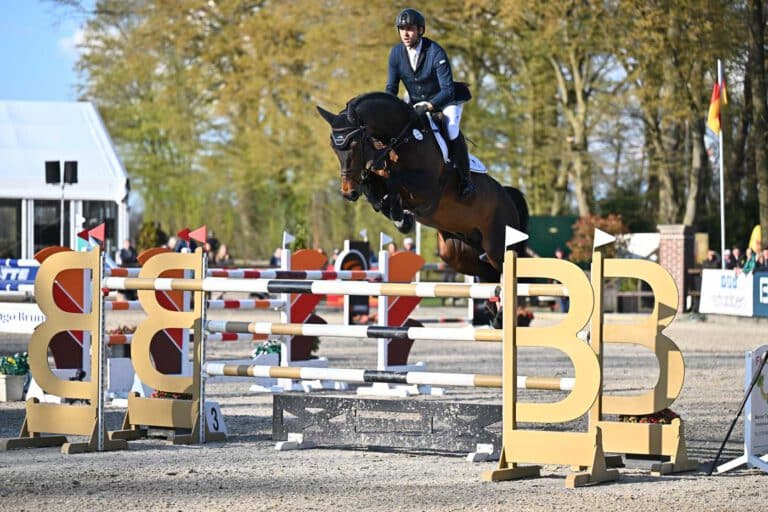 Mehr über den Artikel erfahren Erfolgreicher Saisonstart für Dia Corrado und Chacco’s Son II