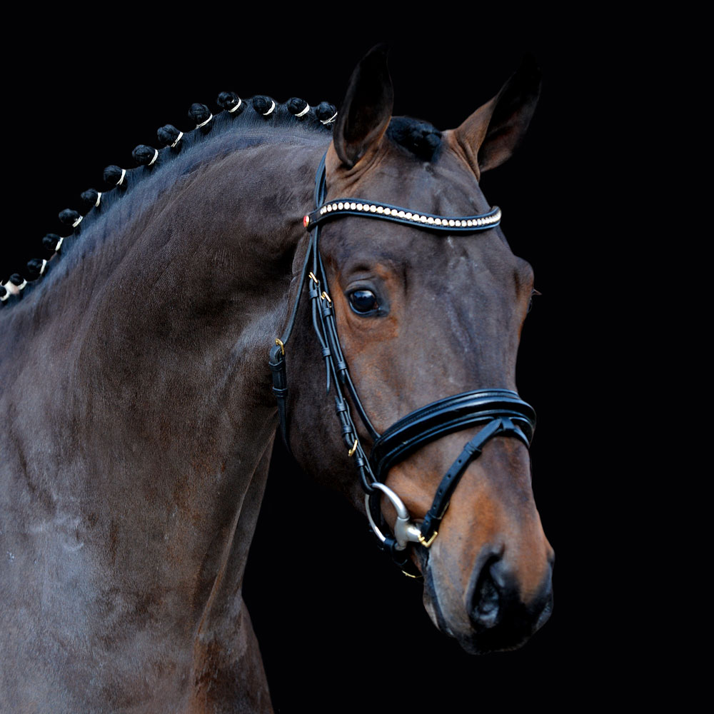 Don-Diarado-Kopf-WEB