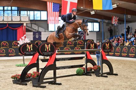 Mehr über den Artikel erfahren 1. März 2024 Online Hengstpräsentation auf CMH