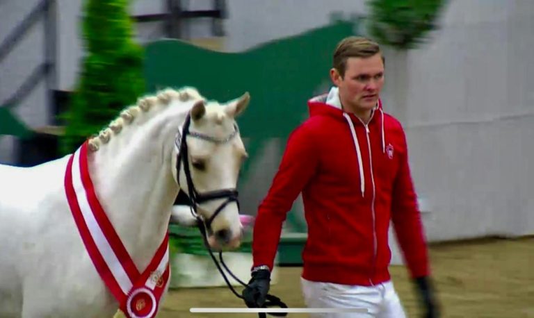 Mehr über den Artikel erfahren Siegerhengst von Maurice