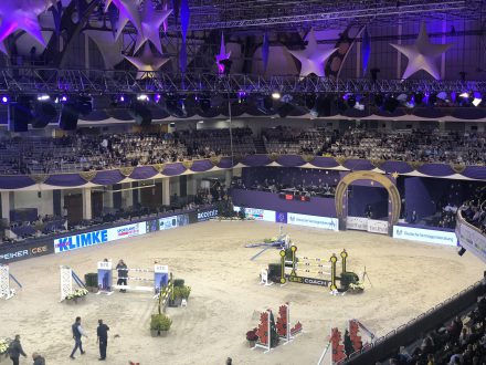 Mehr über den Artikel erfahren Endspurt für den Hengstkatalog