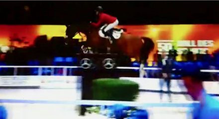 Mehr über den Artikel erfahren Super für den Pferdesport