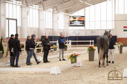 Mehr über den Artikel erfahren ‚Ein schnelleres Auge‘