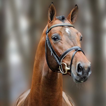 Mehr über den Artikel erfahren Die Beste: Tochter v. Los Angeles
