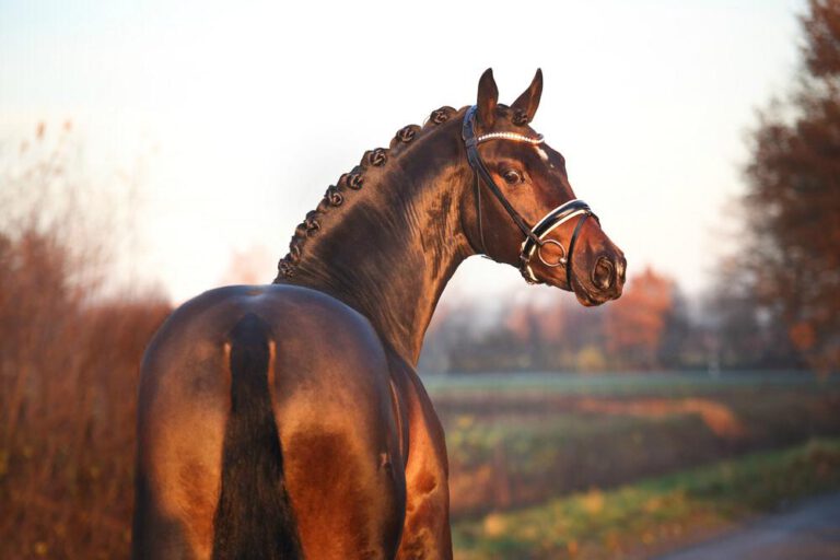Mehr über den Artikel erfahren Nachfrage enorm