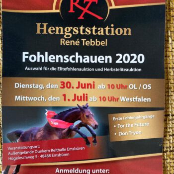 Fohlentage bei Tebbels