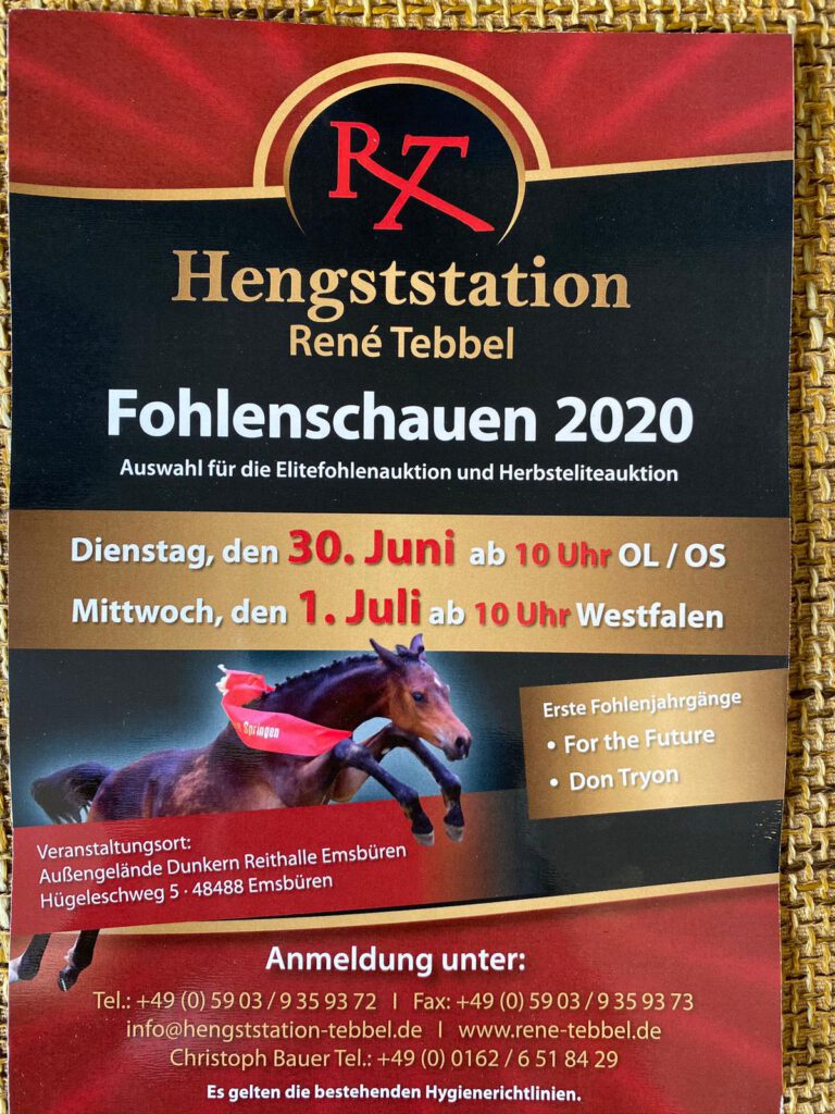 Mehr über den Artikel erfahren Fohlentage bei Tebbels