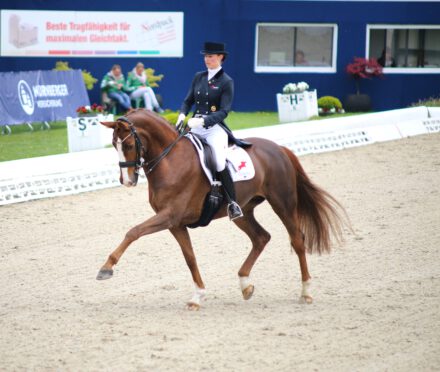 Mehr über den Artikel erfahren Turniernachtrag Part II – die etwas andere Disziplin…