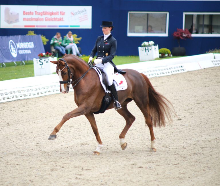 Mehr über den Artikel erfahren Turniernachtrag Part II – die etwas andere Disziplin…