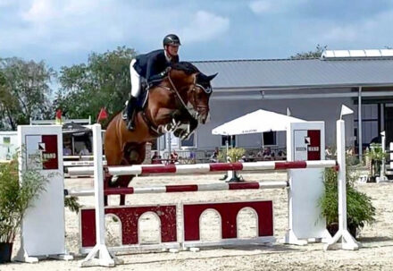 Mehr über den Artikel erfahren Chacco’s Light und Dia Corrado – Hengste für die Zukunft