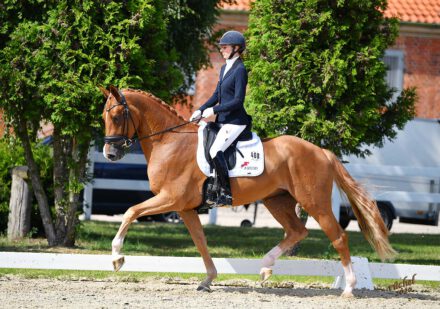 Mehr über den Artikel erfahren Familienbande Tebbel