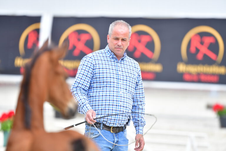 Mehr über den Artikel erfahren „Erweiterte Bühne für die Fohlen“