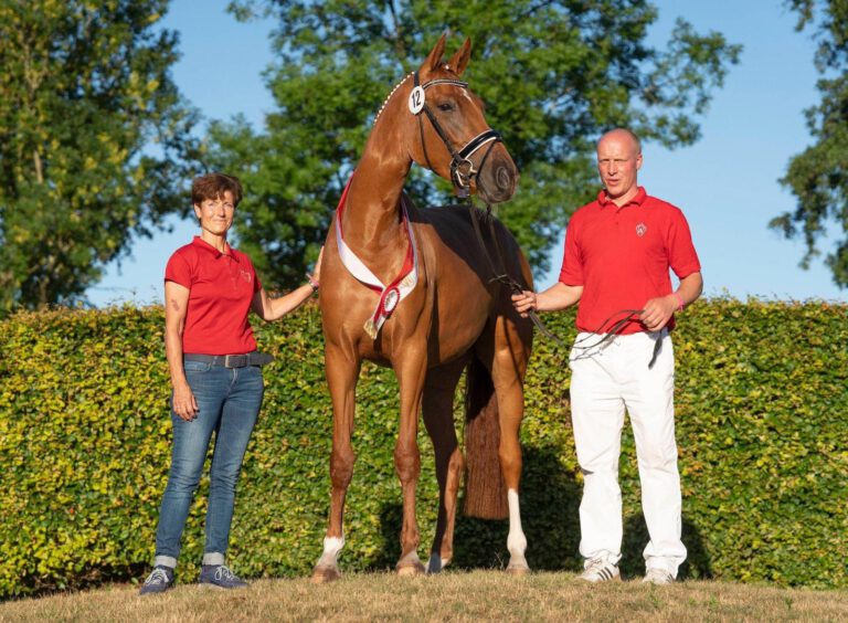 Mehr über den Artikel erfahren Tebbel Gene brillieren bei der Westfalenwoche
