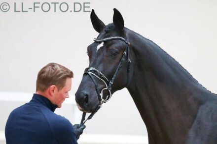 Mehr über den Artikel erfahren 100-Prozent Erfolgsquote