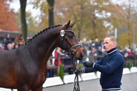 Mehr über den Artikel erfahren Neun für Hannover