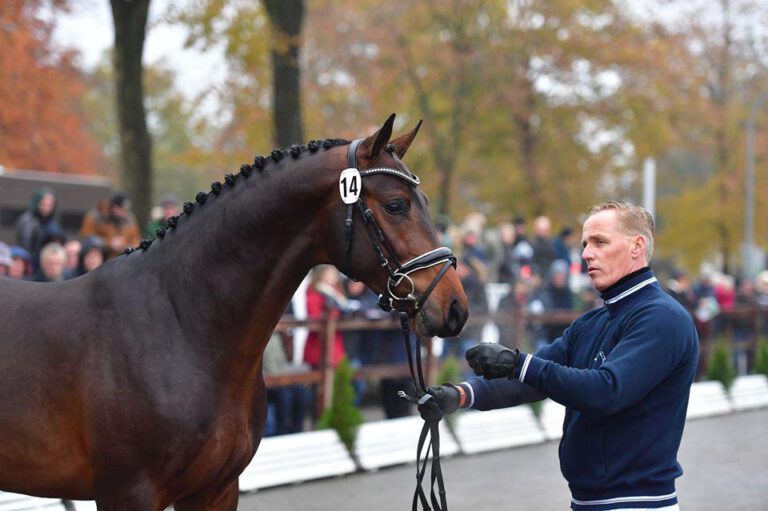 Mehr über den Artikel erfahren Neun für Hannover