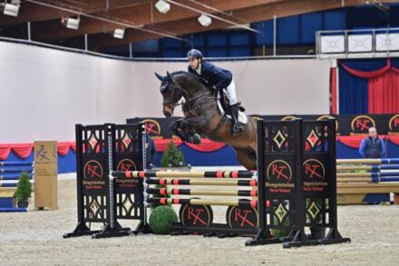 Mehr über den Artikel erfahren Hengstschau Online anschauen >>