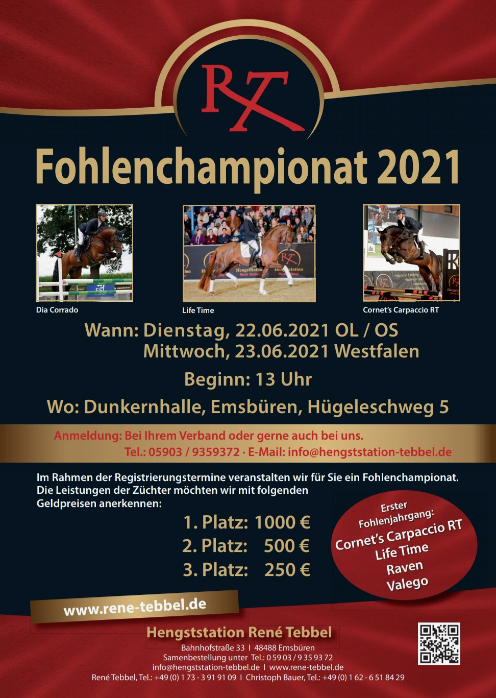 You are currently viewing Fohlenchampionat der Hengststation Tebbel