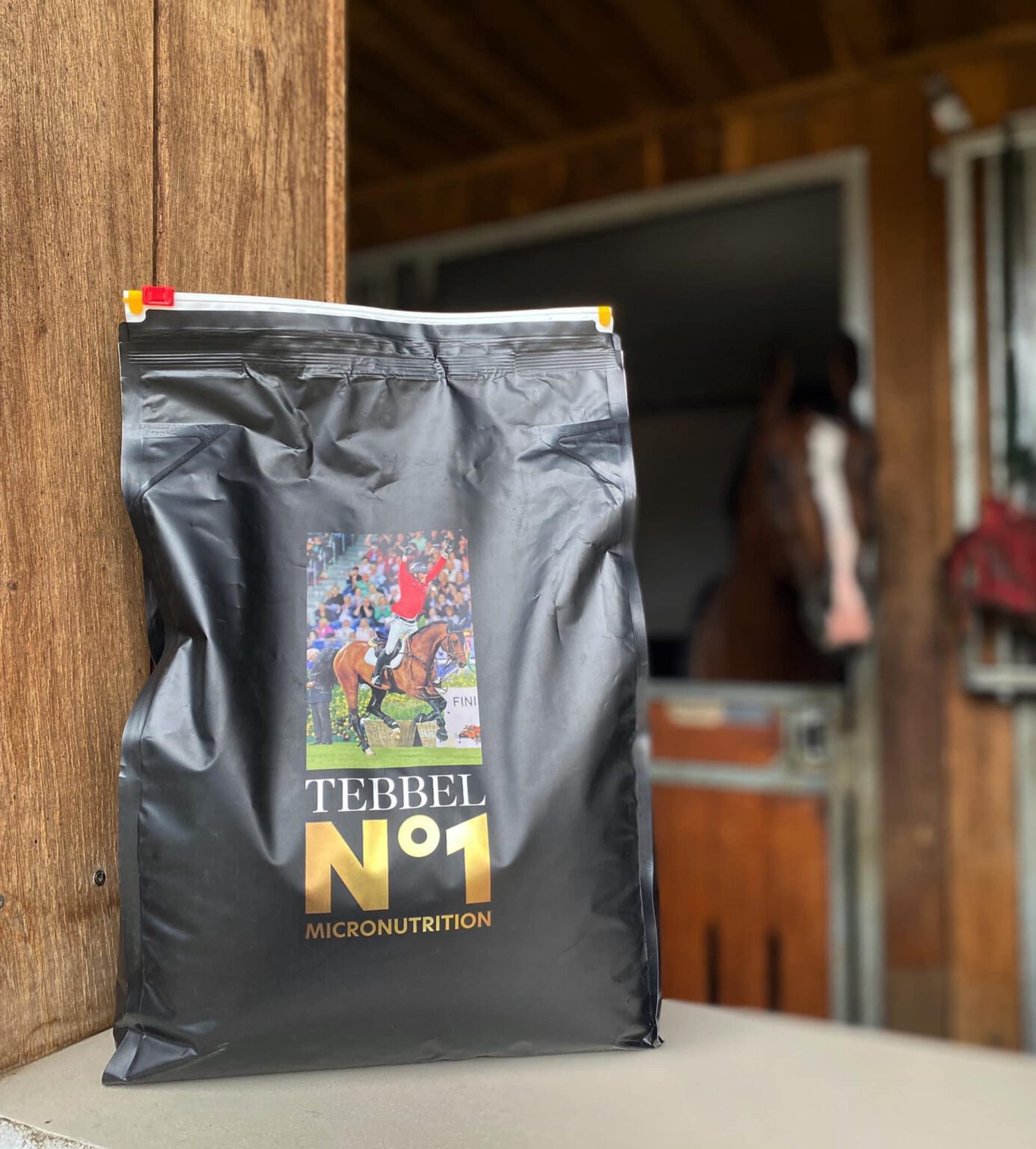 Hengststation Tebbel René Tebbel