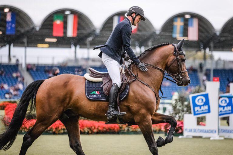 Mehr über den Artikel erfahren Chacco’s Light der Überflieger