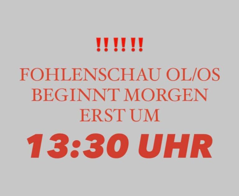 Mehr über den Artikel erfahren Beginn 13:30 Uhr Fohlenschau OL/OS