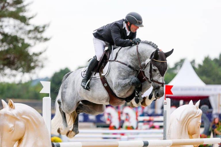 Mehr über den Artikel erfahren Neuzugang Huricane de Champloue