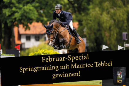 Mehr über den Artikel erfahren Gewinne ein Training bei Maurice Tebbel!