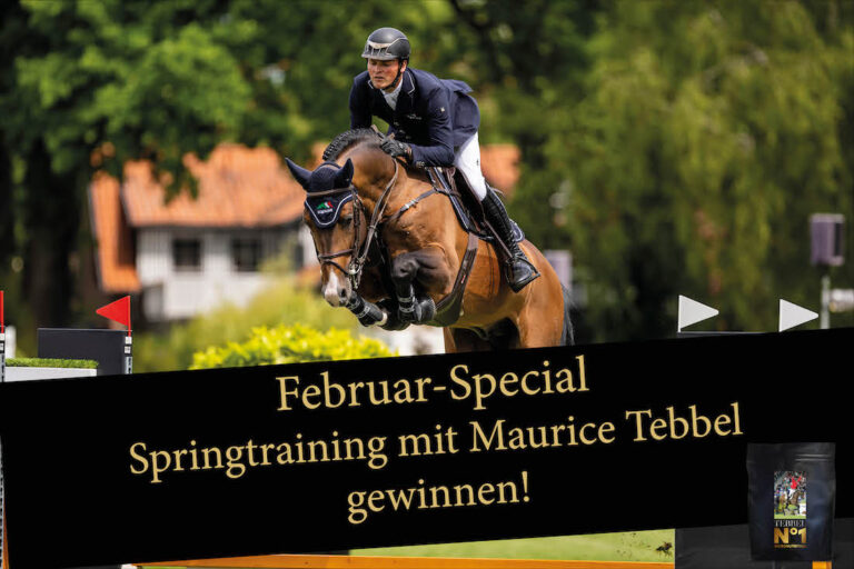 Mehr über den Artikel erfahren Gewinne ein Training bei Maurice Tebbel!