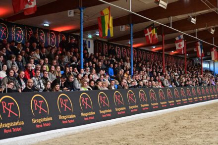 Mehr über den Artikel erfahren Unsere Hengstschau ist Online