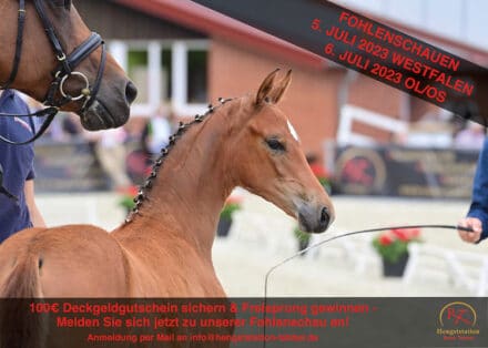 Mehr über den Artikel erfahren 100€ Deckgeldgutschein sichern & Freisprung gewinnen – jetzt zur Fohlenschau anmelden!