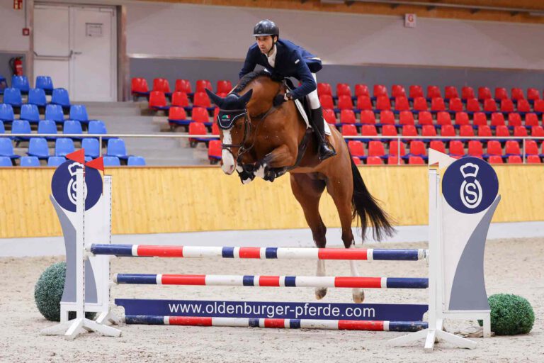 Mehr über den Artikel erfahren HLP Vechta – unsere beiden Springhengste ganz vorne mit dabei!