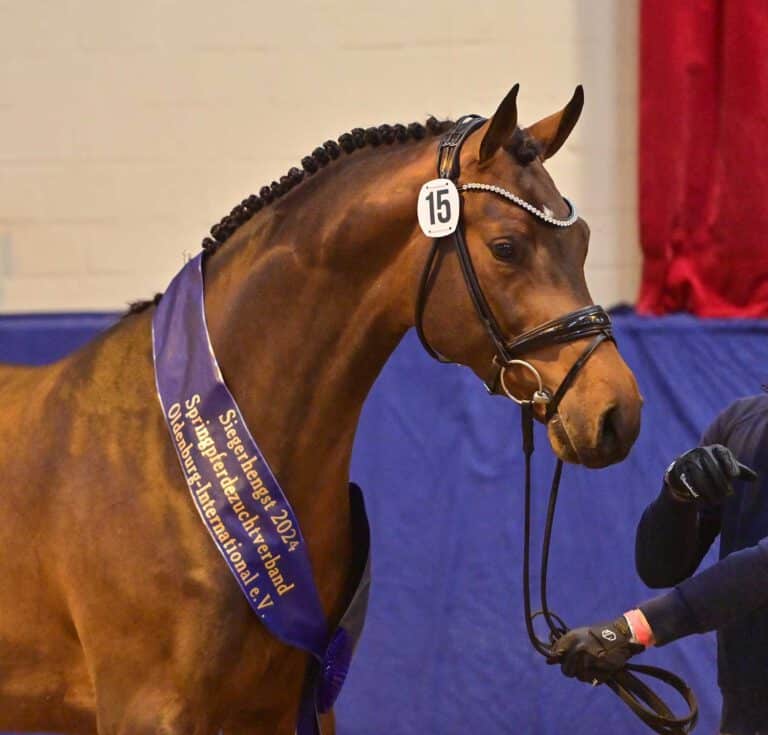 Mehr über den Artikel erfahren OS SIEGERHENGST & OL RESERVESIEGER