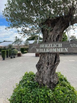 Mehr über den Artikel erfahren Open House 13. April 2024 14 Uhr