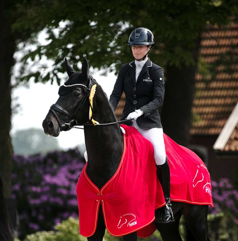 Mehr über den Artikel erfahren For Dior gewinnt Reitpferdeprüfung