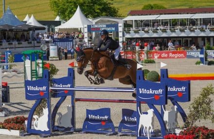 Mehr über den Artikel erfahren Chacco’s Son I Nachkommen hoch erfolgreich