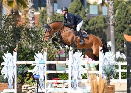 Mehr über den Artikel erfahren Überragende Nachzucht auf den Körplätzen des Dia Corrados!