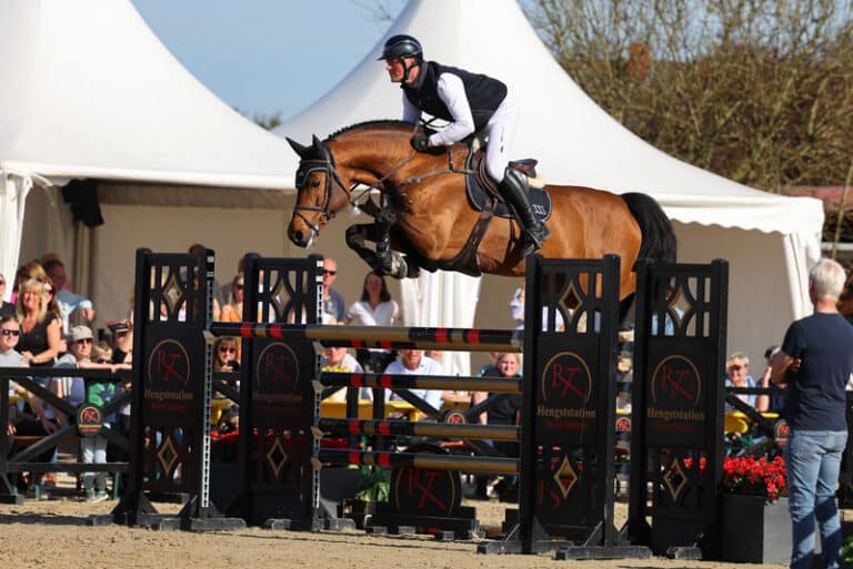 Mehr über den Artikel erfahren Open House 2025 – ein voller Erfolg!