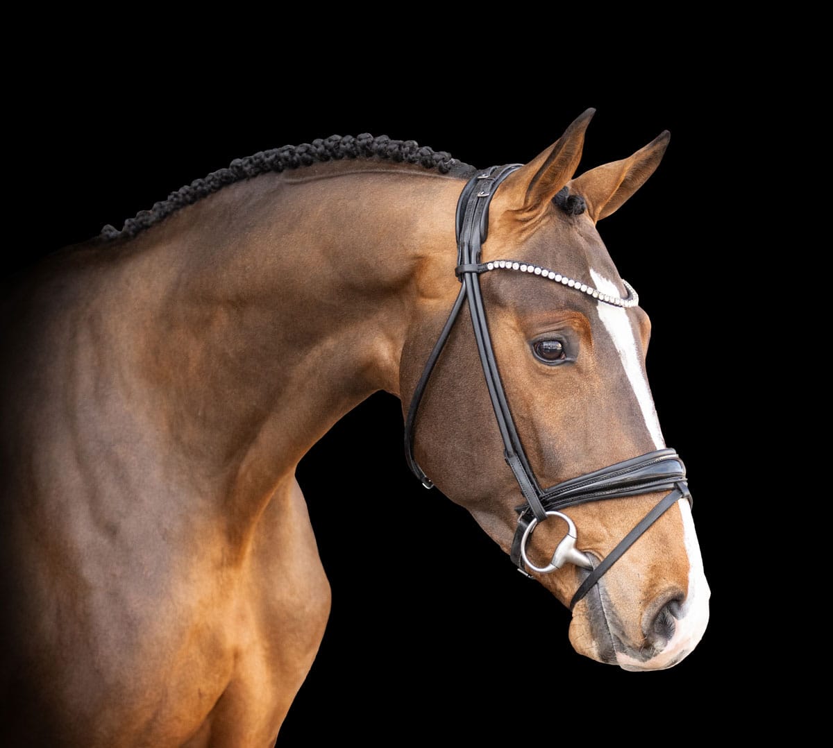 Nixons-Highlight-WEB