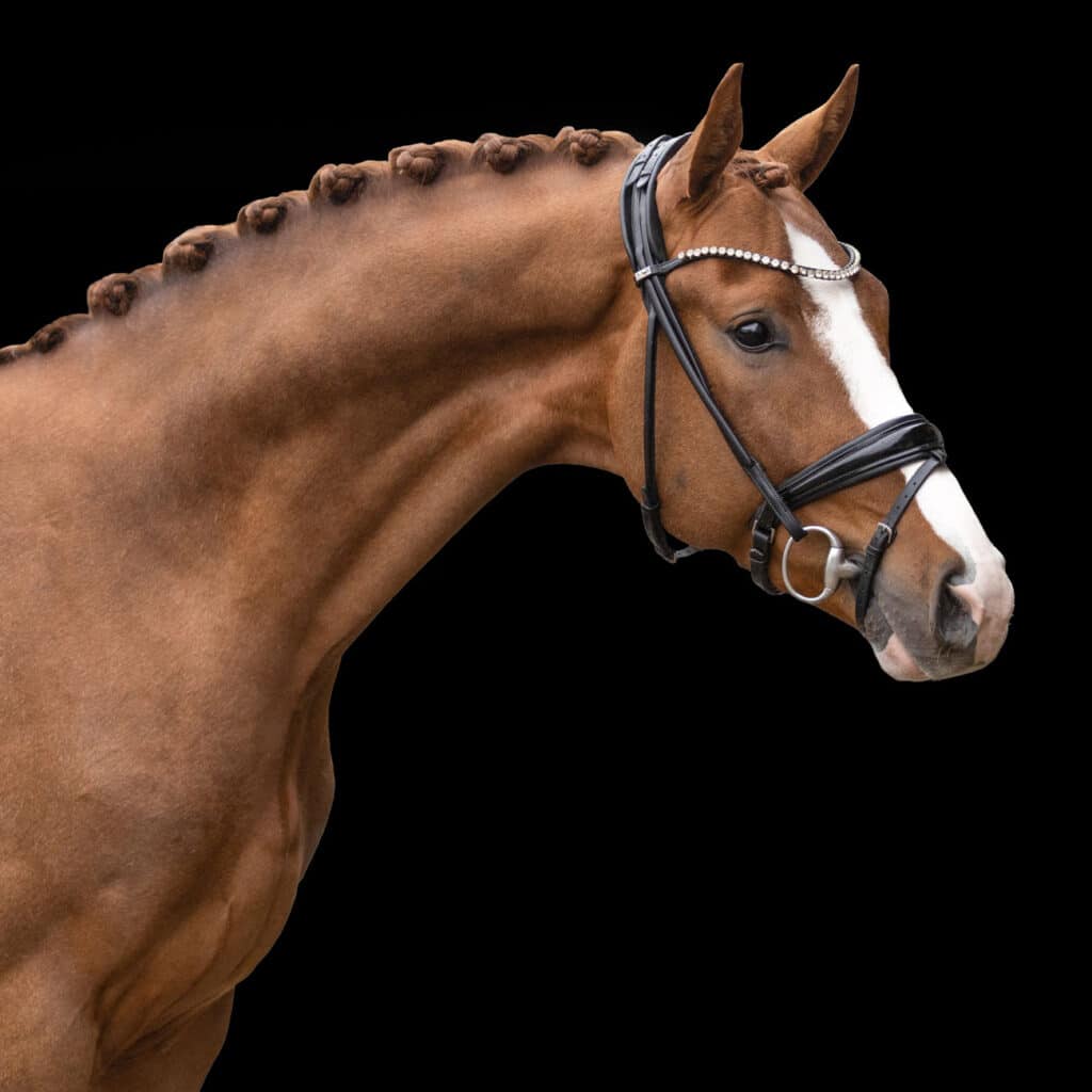 WEB-9---3P7A6958-Edit