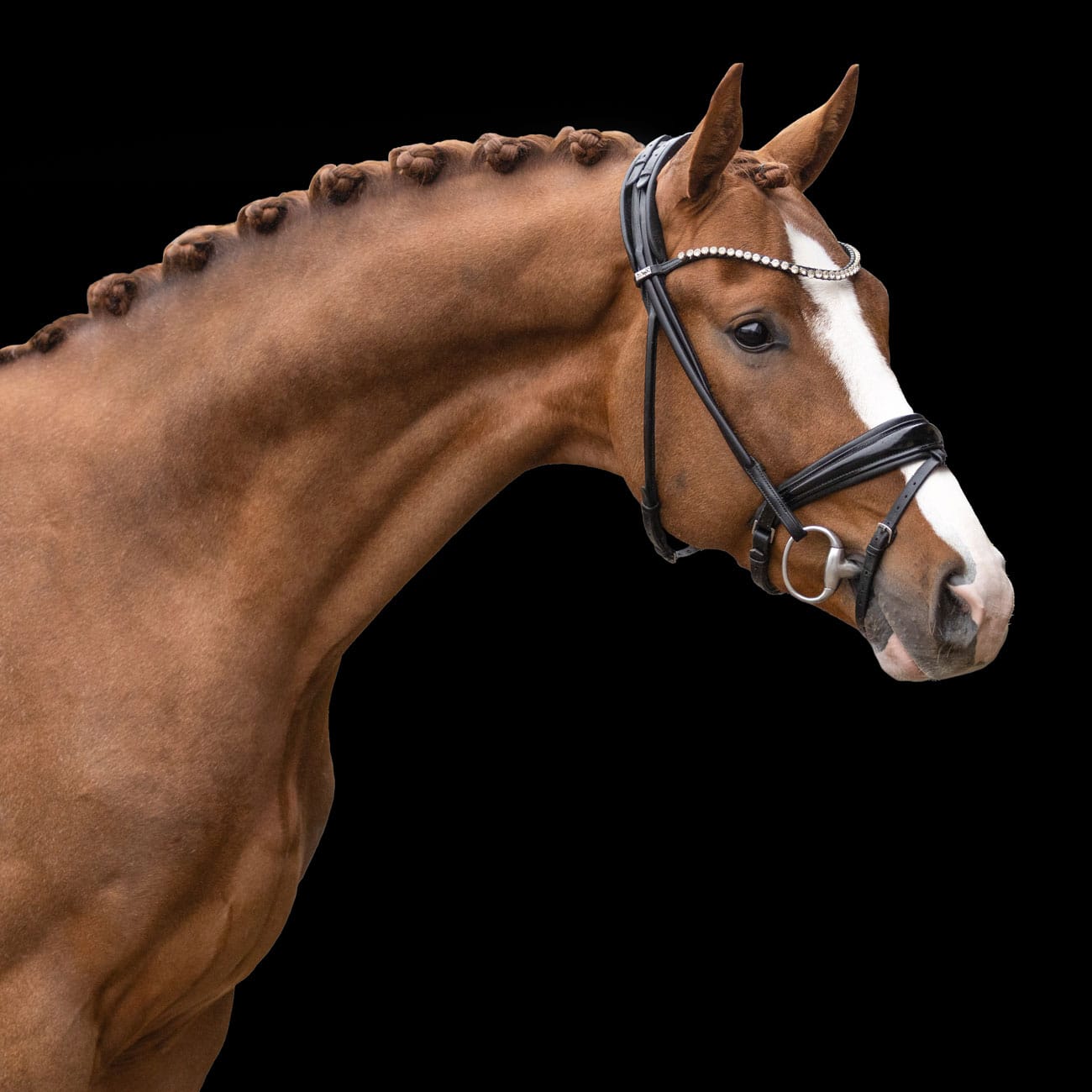 WEB-9---3P7A6958-Edit